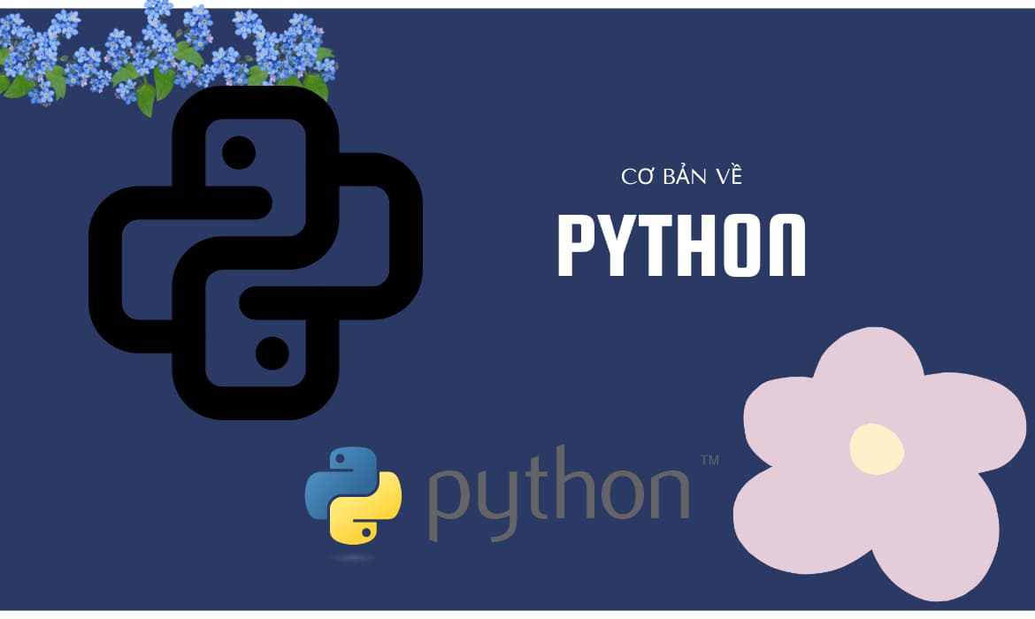 Cơ bản về lập trình Python